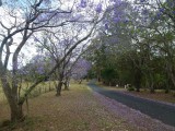 Nimbin