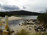 Cockle Creek