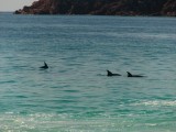 Wineglass Bay