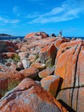 Bay of Fires