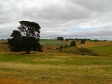 Tasmanie