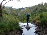 Tasmanie