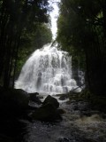 Nelson Falls