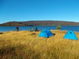 Tasmanie