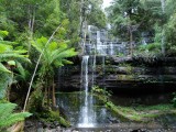 Mount Field National Park