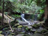 Mount Field National Park