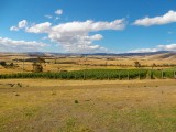 Tasmanie