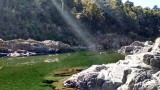 Pelorus Bridge