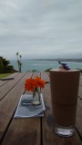 uitzicht op Tasman Zee vanaf Raglan