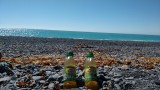 cocktails op het strand van Kaikoura