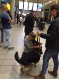 Schiphol