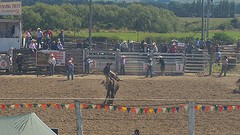 another Rodeo!