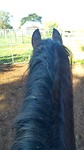 Best view ever