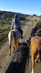 Riding :)