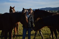 Bezoekje in de winterholiday paddock