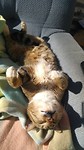 "And thats how you relax..." ~ Scooter ~
