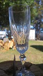 Champagne time at Horse Riding Tasmania