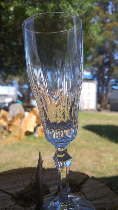 Champagne time at Horse Riding Tasmania