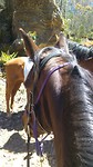Riding on the tour on Nipper