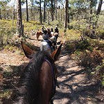 Riding at a tour on Max