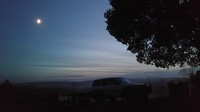 Early morning in Tassie