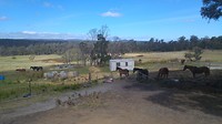 Horseriding Tasmania