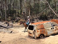 Riding Max in Tassie