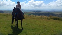 Riding my arabian pony