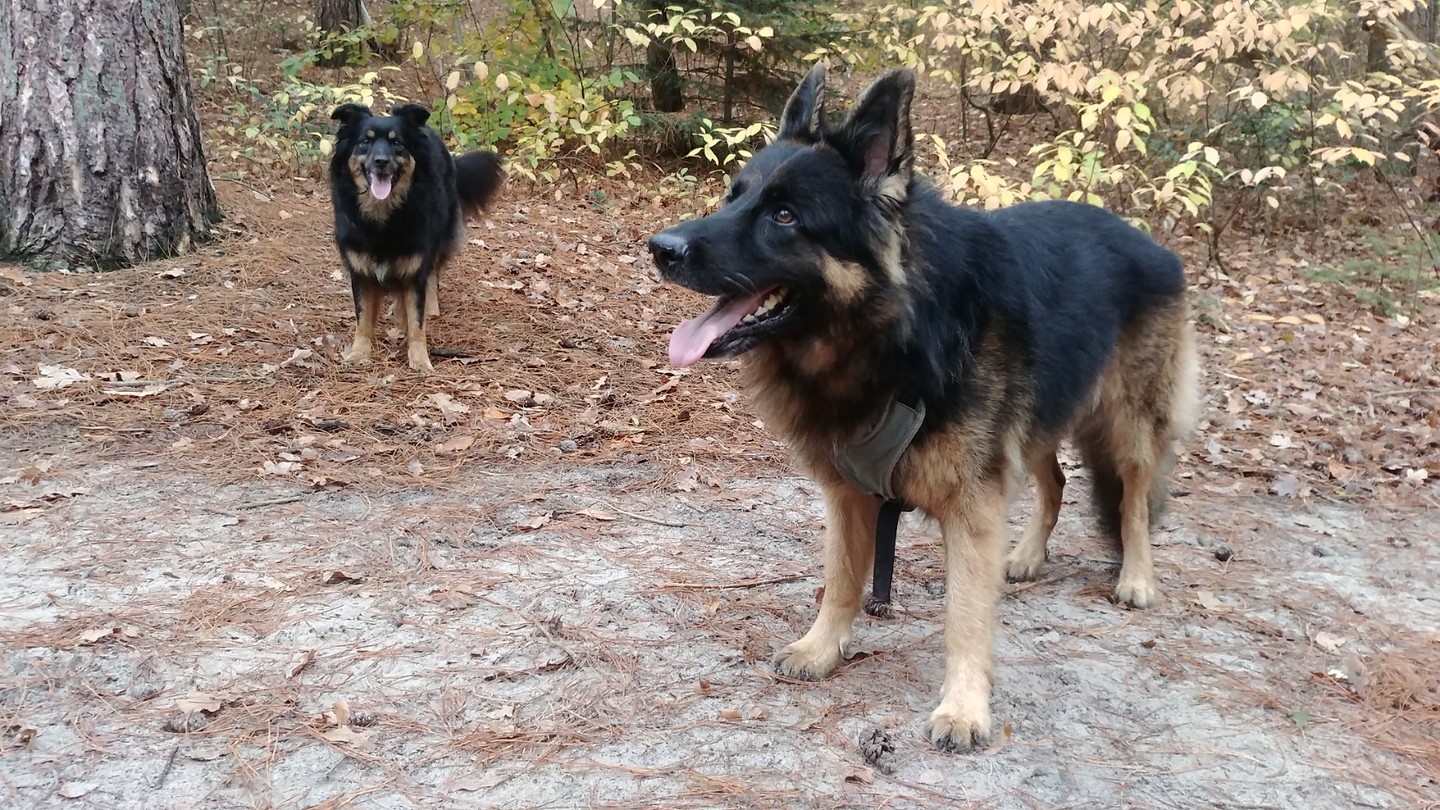 How I missed these girls..