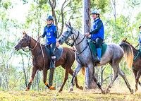 80km with Shamsa riding with Renae