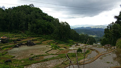 Trekking zuid Sulawesi