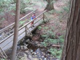 BX trail