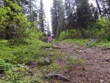 Op weg naar Lake Ross, de trail.
