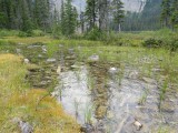 Lake Ross.