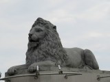 Calgary heeft ook een leeuw!