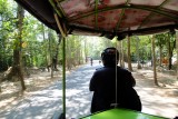 Tuk tuk driver