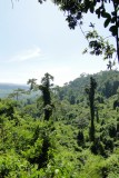 National Park