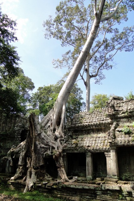 Temple