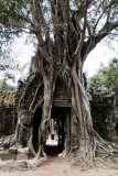 Temple