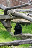 Taronga Zoo
