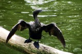 Taronga Zoo