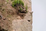 Colca Canyon