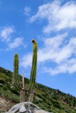 Colca Canyon