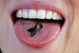 Hmmm, cricket