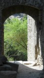 DSCN0985