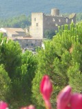 DSCN1046