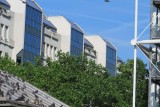 IMG_0296