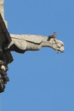 IMG_0300
