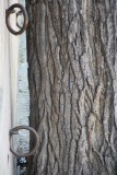 IMG_0304