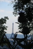 IMG_0399